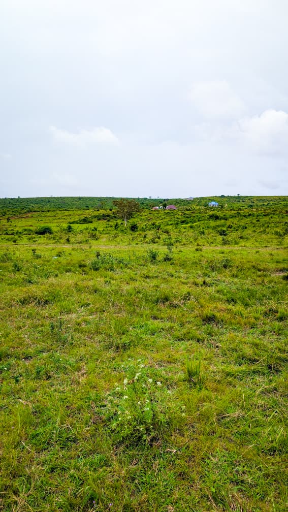 Bagamoyo Project